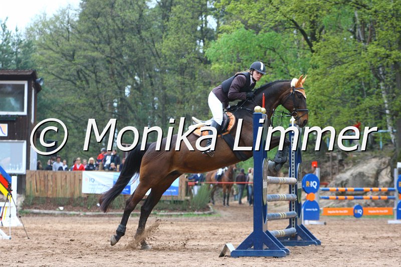 005L4109_Caron_Stil L.JPG